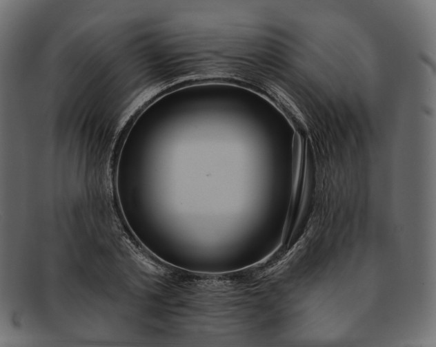 X0000091930789200709191359