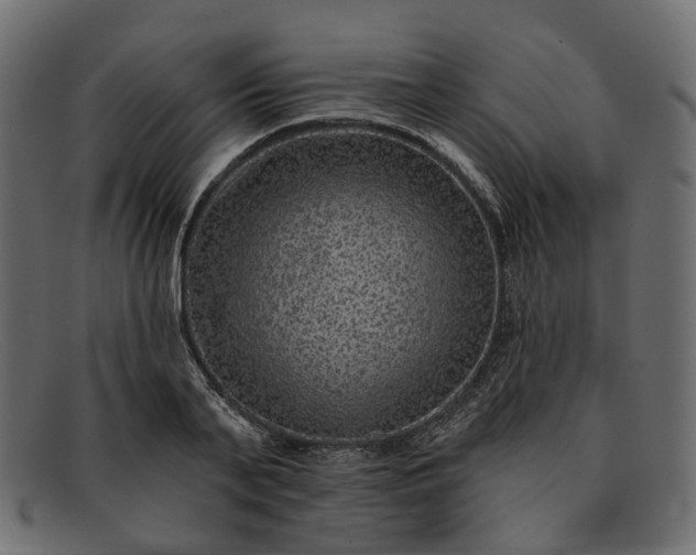 X0000091930791200709191359