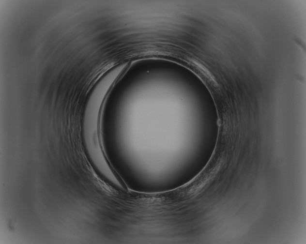 X0000091930793200709191359