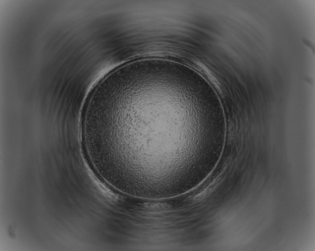X0000091930795200709191358