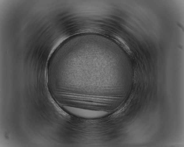 X0000091930796200709191358