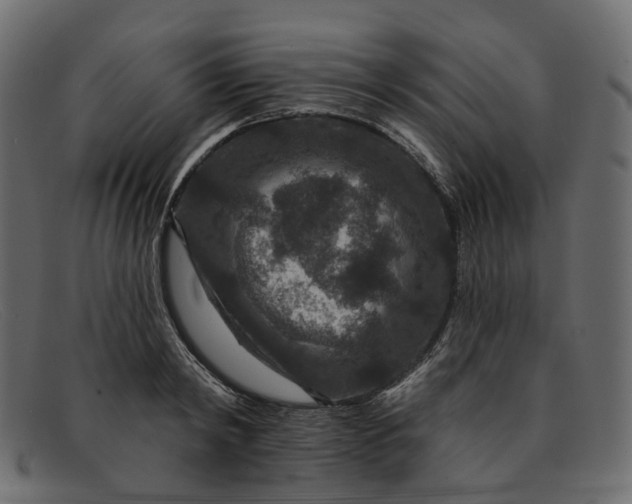 X0000091930798200709191358