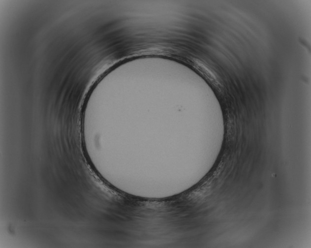 X0000091930800200709191358