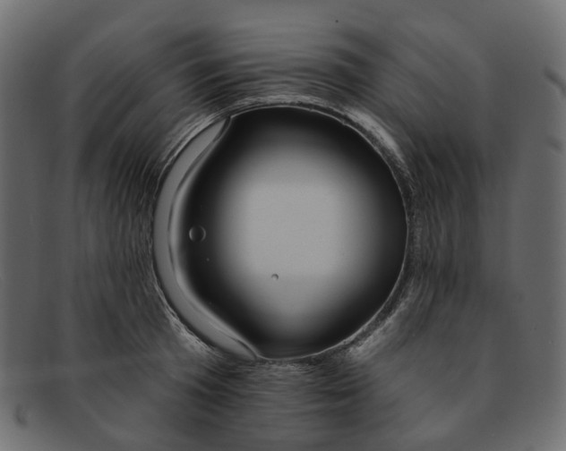 X0000091930801200709191358