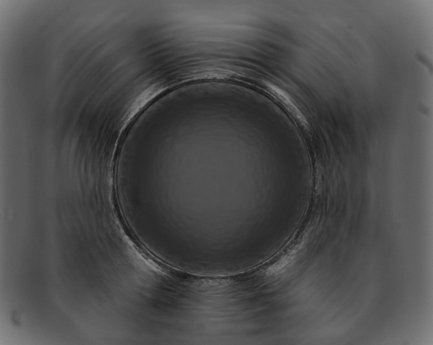 X0000091930802200709191358