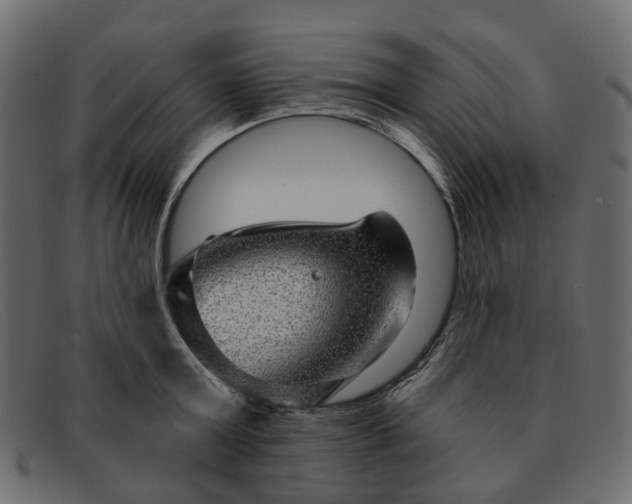 X0000091930803200709191358