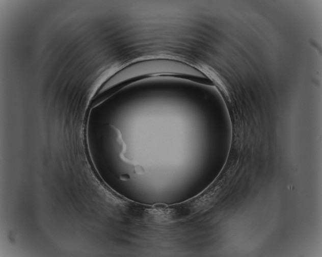 X0000091930805200709191358
