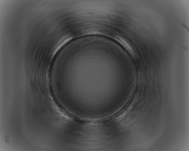 X0000091930806200709191358