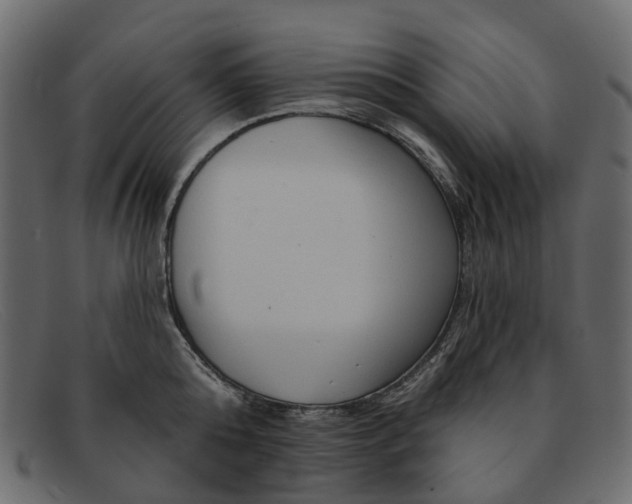 X0000091930808200709191358