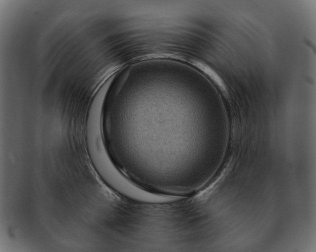 X0000091930809200709191358