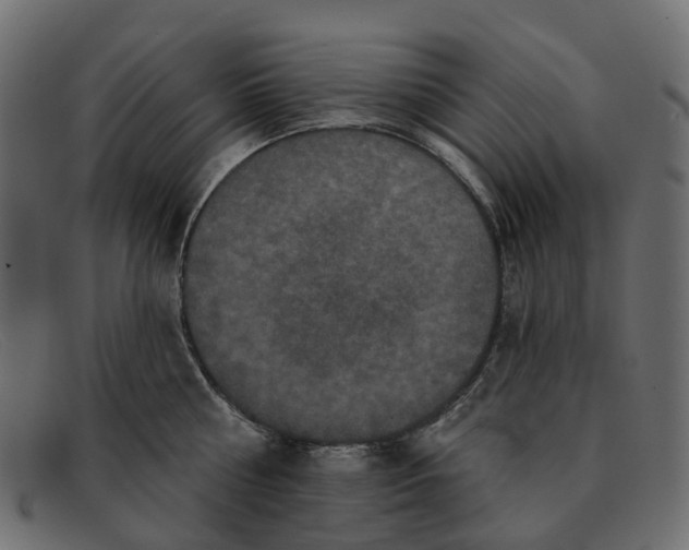 X0000091930810200709191358