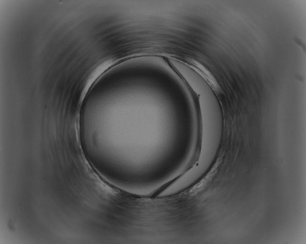 X0000091930812200709191358