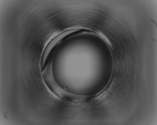 X0000091930813200709191358
