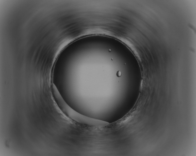 X0000091930815200709191358