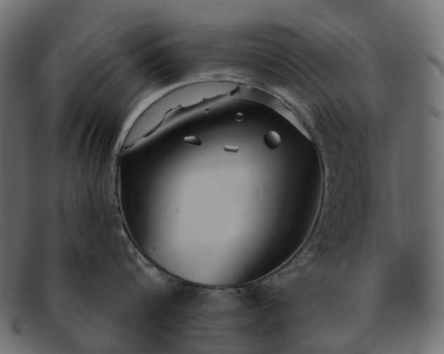 X0000091930816200709191358