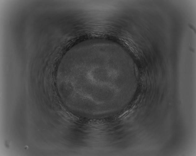 X0000091930817200709191358