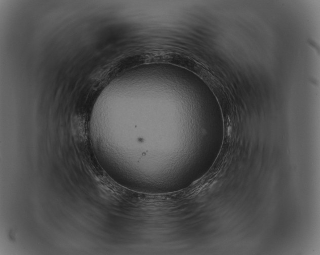 X0000091930819200709191358
