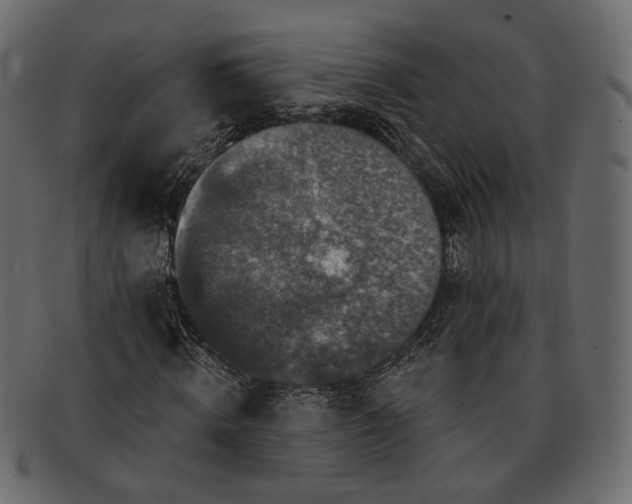 X0000091930820200709191358