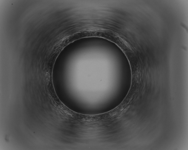 X0000091930821200709191358