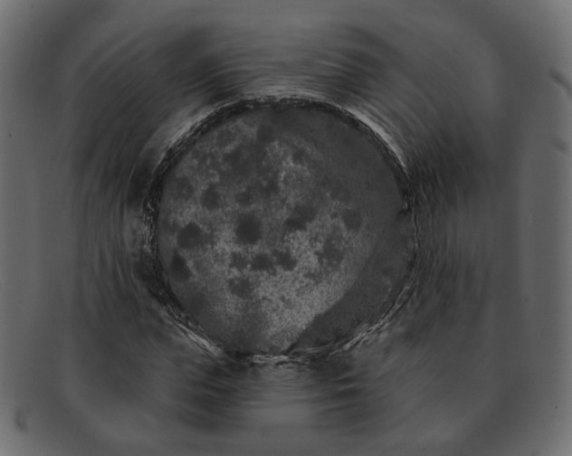 X0000091930823200709191358