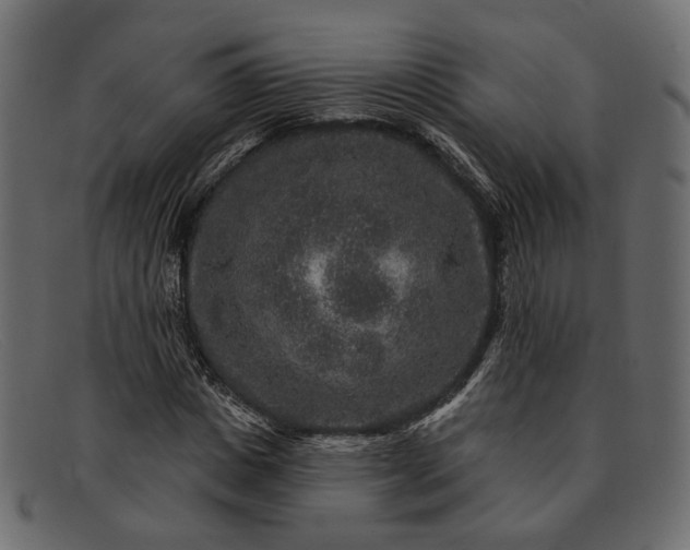 X0000091930825200709191358