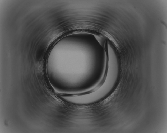 X0000091930826200709191358
