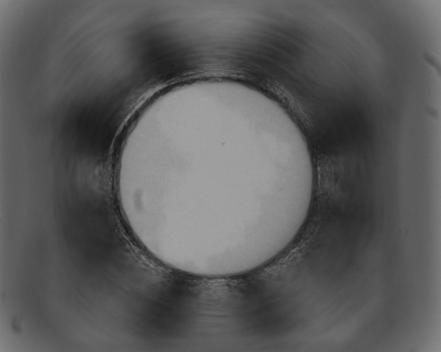 X0000091930828200709191358