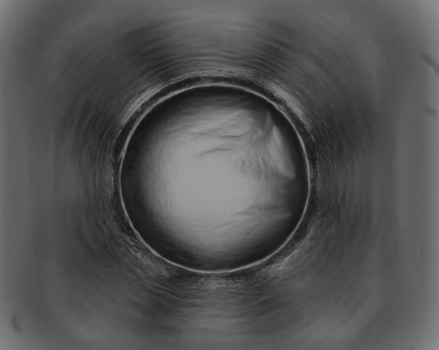 X0000091930829200709191358