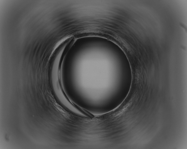 X0000091930830200709191358