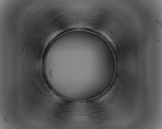 X0000091930831200709191358