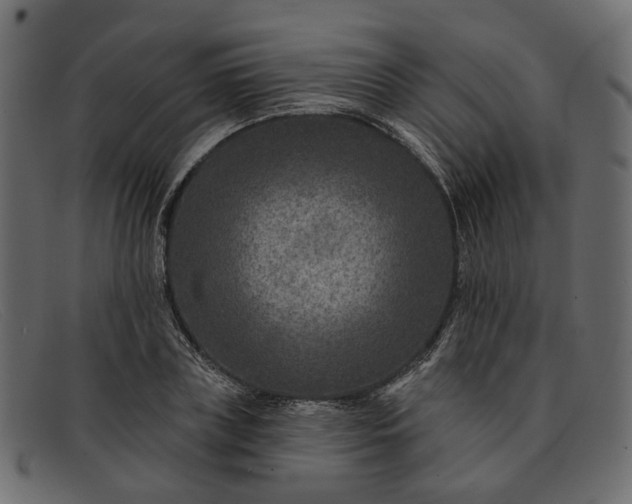 X0000091930835200709191358