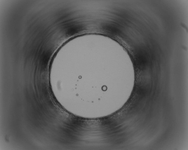 X0000091930836200709191358