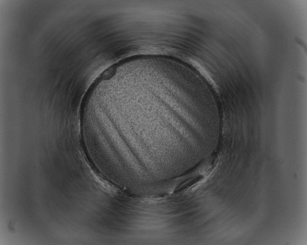 X0000091930837200709191358