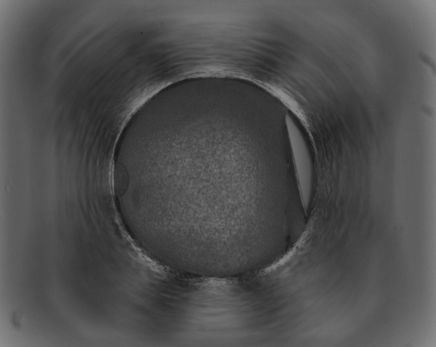 X0000091930839200709191358