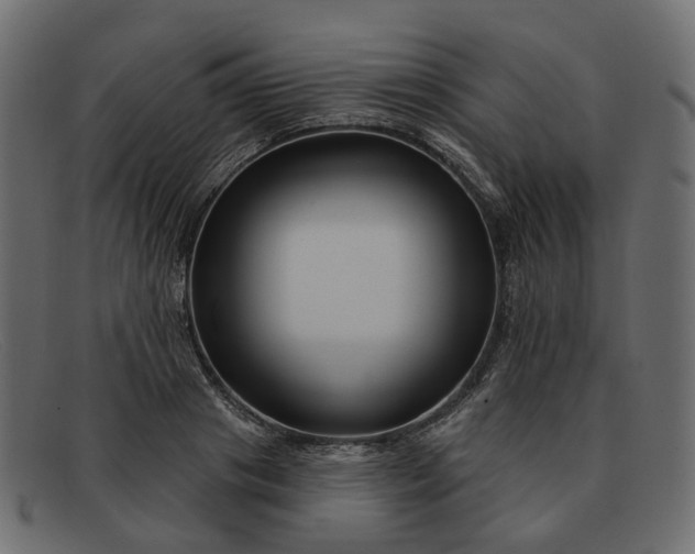 X0000091930841200709191358