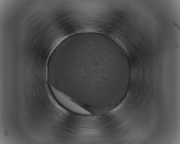 X0000091930844200709191358