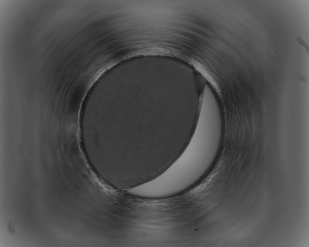 X0000091930845200709191358