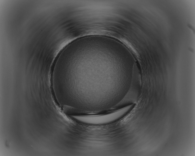 X0000091930846200709191358
