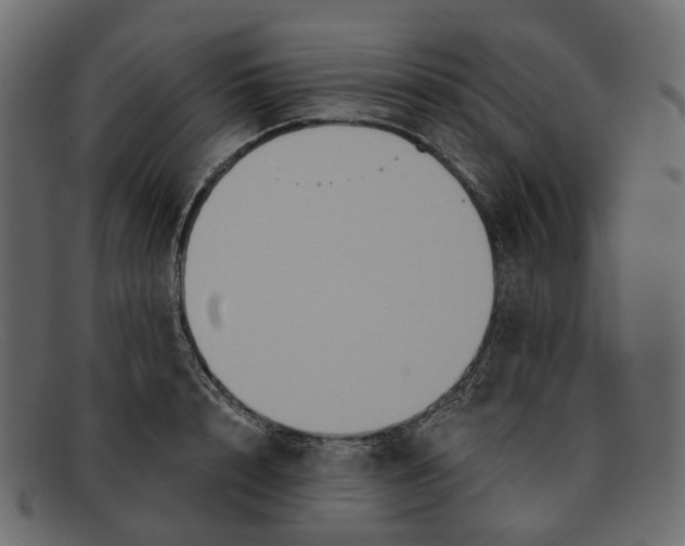 X0000091930848200709191358