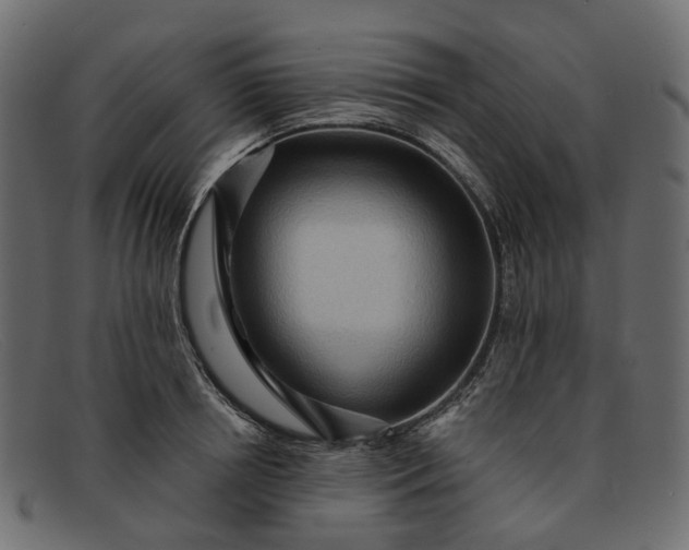 X0000091930850200709191358