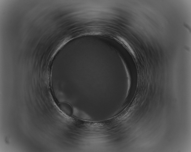 X0000091930851200709191358