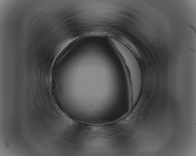 X0000091930852200709191358