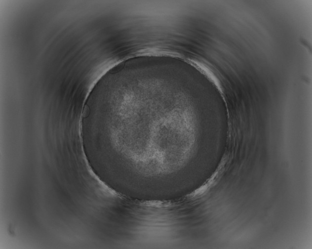 X0000091930855200709191358