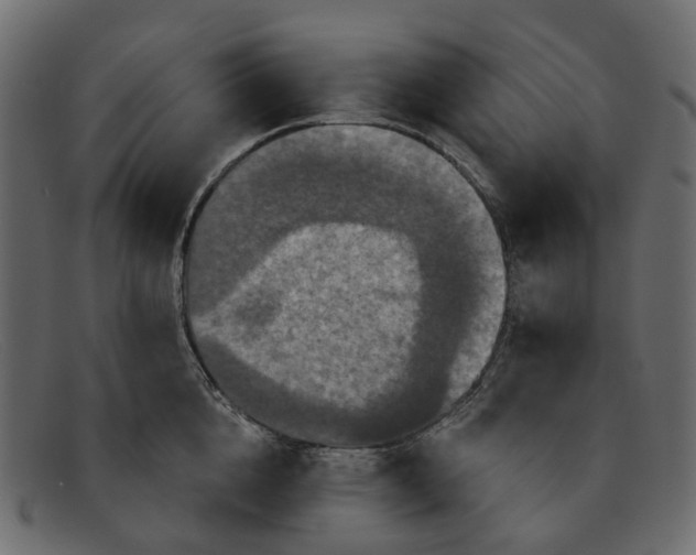 X0000091930856200709191358