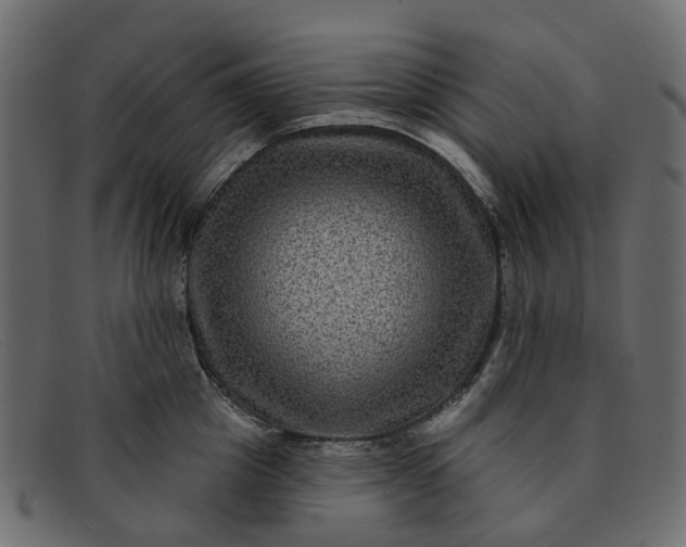 X0000091930857200709191358