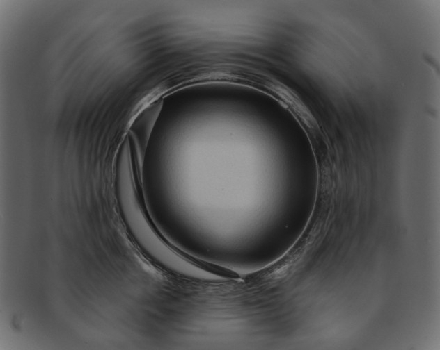 X0000091930858200709191358