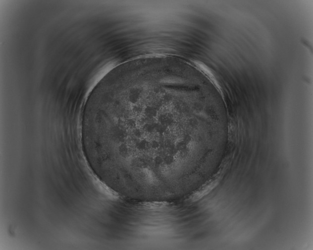 X0000091930859200709191358