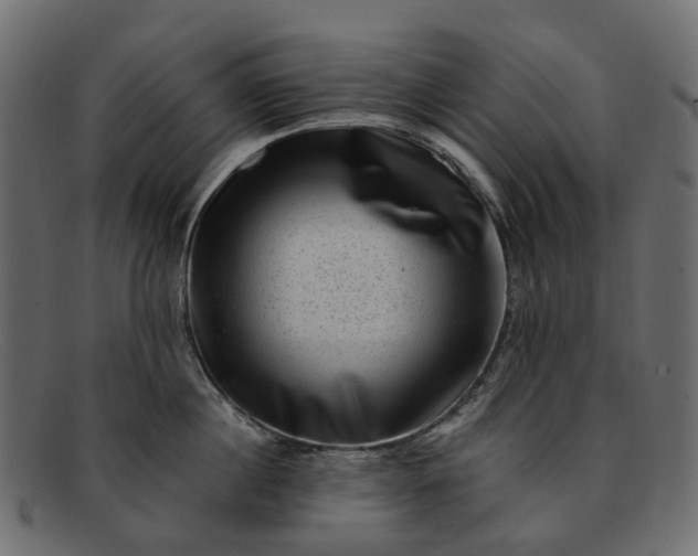 X0000091930860200709191358