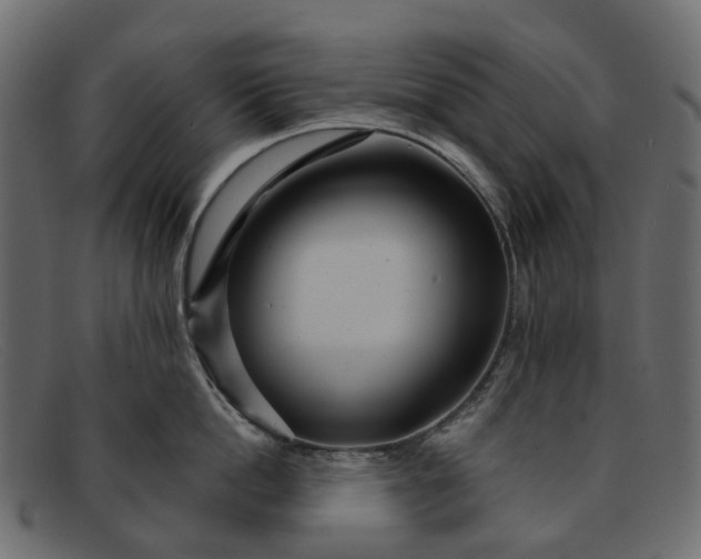 X0000091930862200709191358