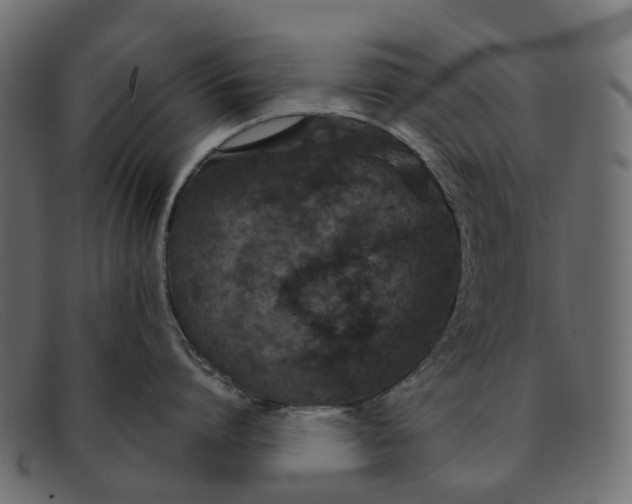 X0000091930864200709191358